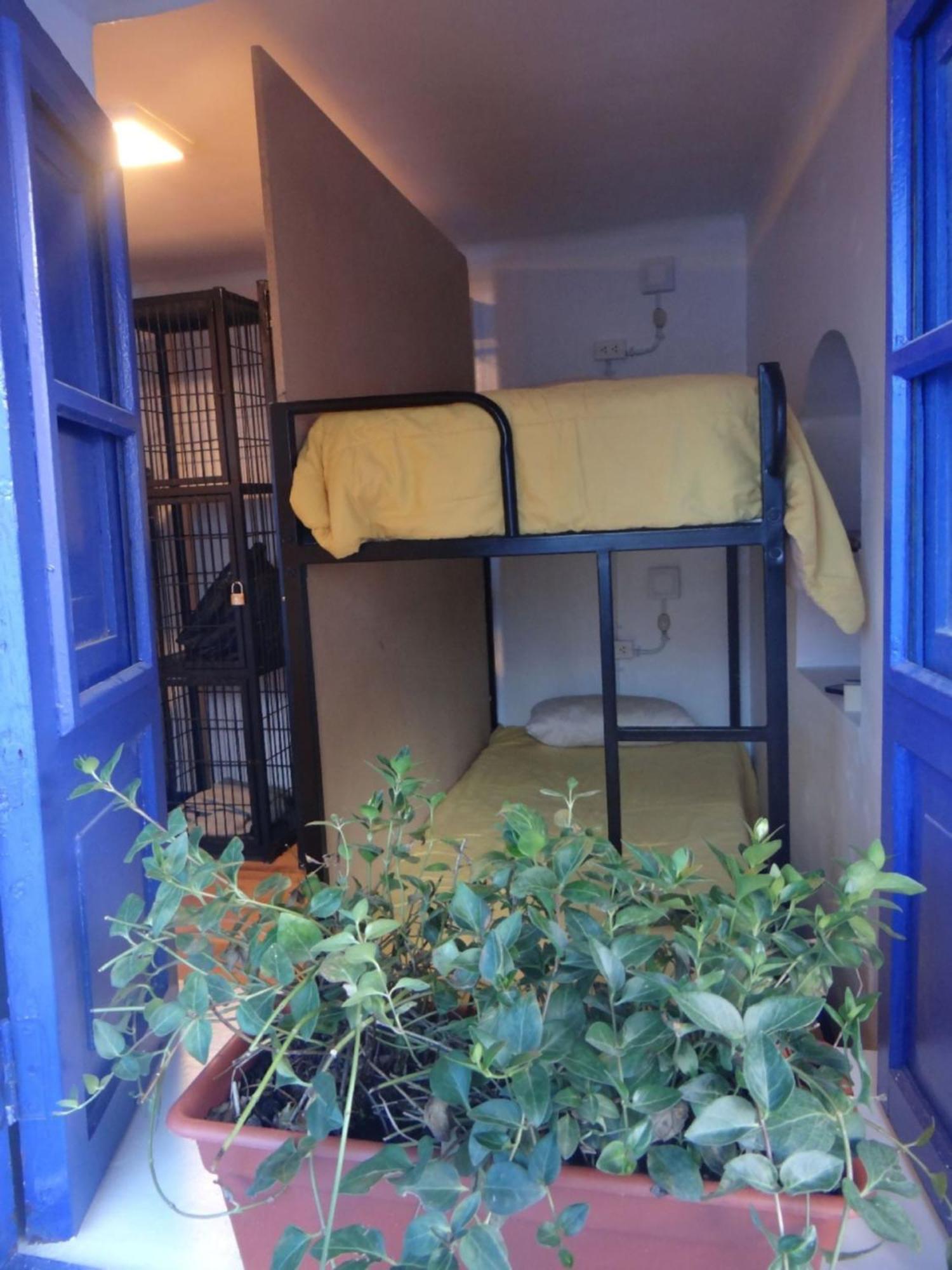 Haku Hostel Cusco Extérieur photo